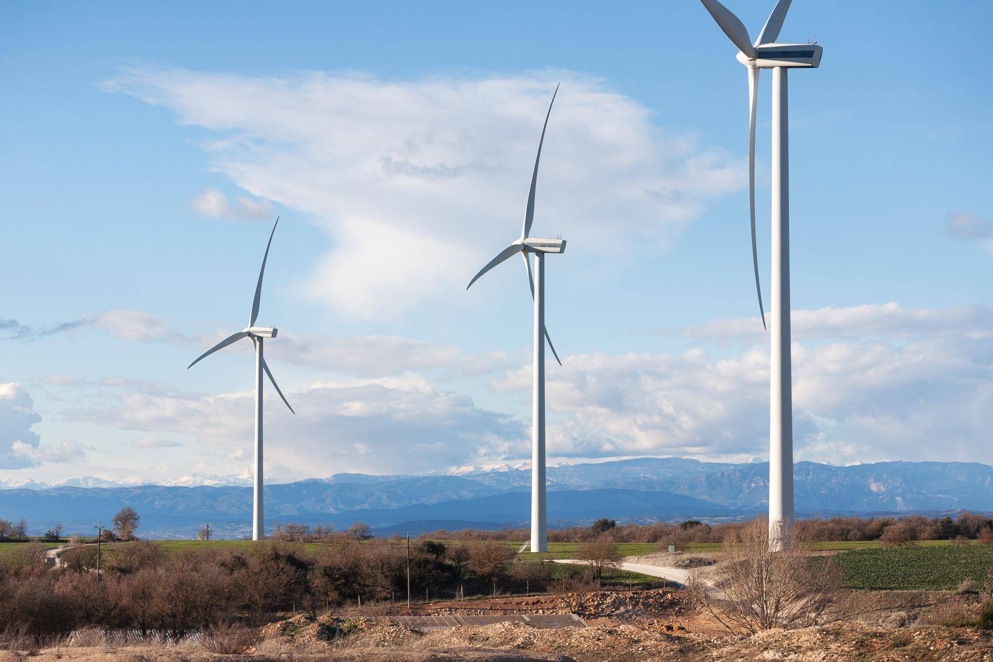 Ile kosztuje elektrownia wiatrowa 2 MW i od czego zależy cena?