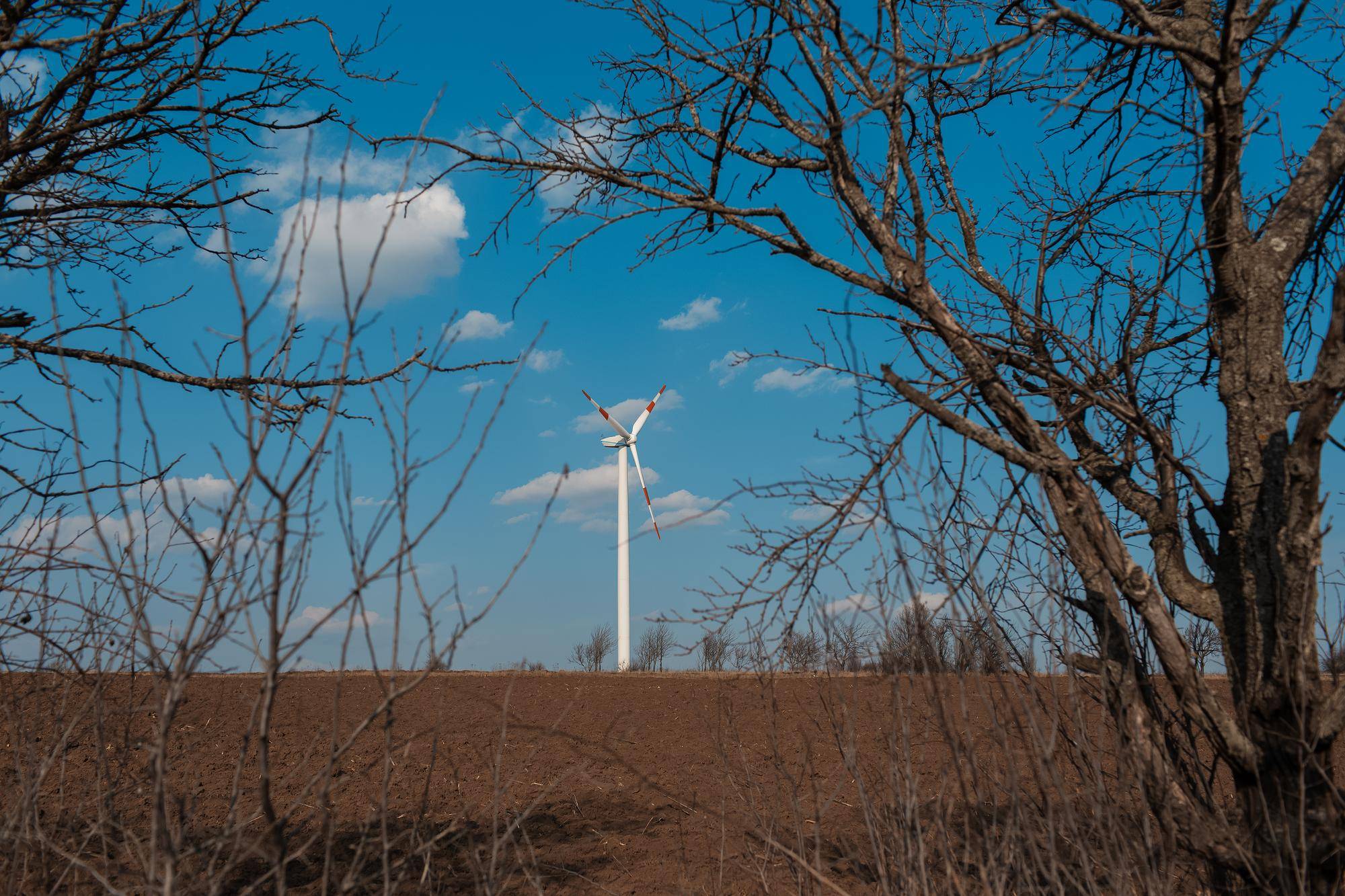 Jaka jest wada elektrowni wiatrowej i jak wpływa na środowisko?