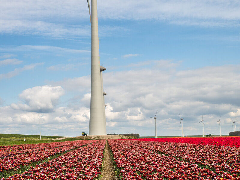 Zielona energia w PGE